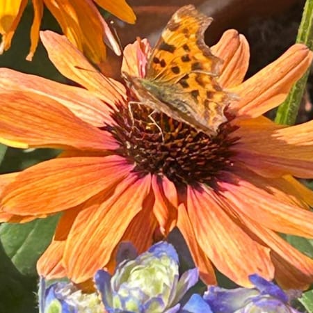 Image of: Upside-Down Grace