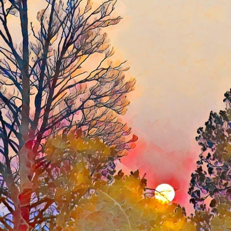 Image of: Joy in the Ordinary