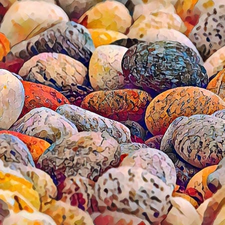 Image of: Living Stones